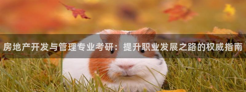 万向娱乐注册登录不上怎么办