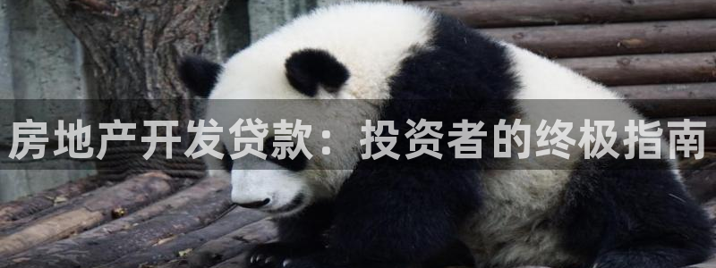 万向娱乐注册资金多少