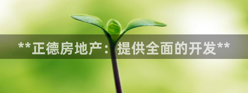 万向娱乐平台代理多少钱一年