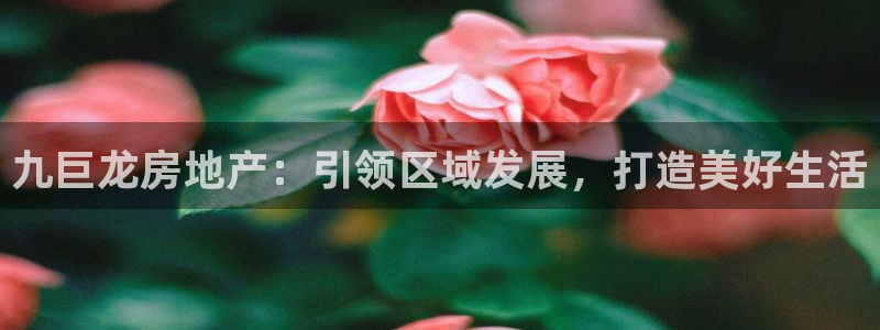 万向娱乐注册登录不上去