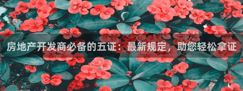 万向娱乐平台注册流程图