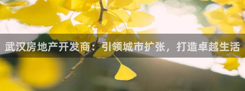 万向娱乐的注册登录