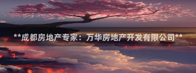 万向娱乐平台代理怎么样啊