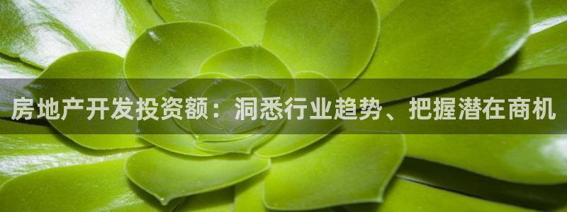 万向娱乐怎么样