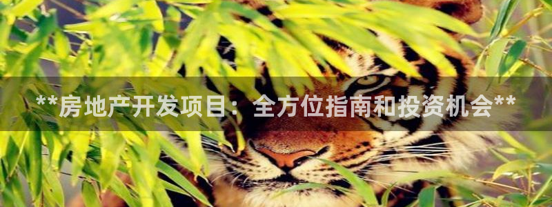 万向娱乐平台注册流程图