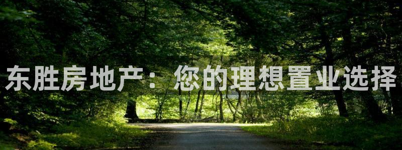 万向娱乐网址是什么