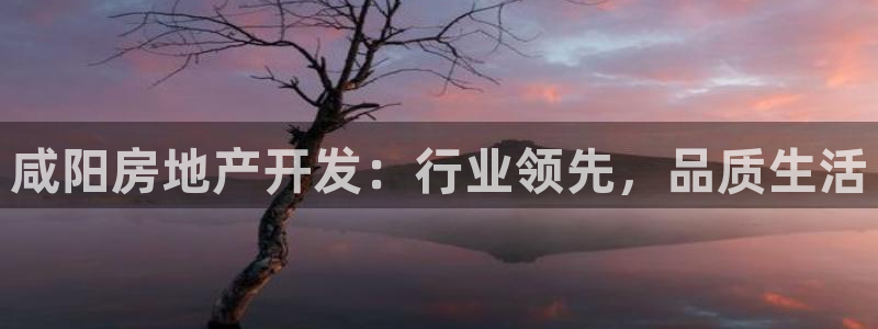 万向娱乐平台下载安装手机版