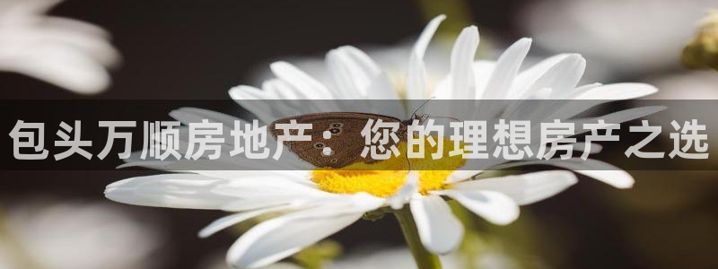 万向娱乐注册登录不了怎么办