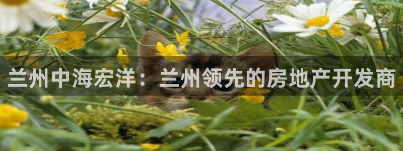 万向娱乐注册资金多少