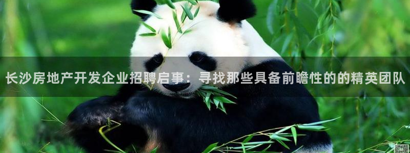 万向娱乐注册主管是谁