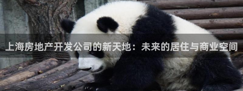 万向娱乐注册登录开户怎么弄