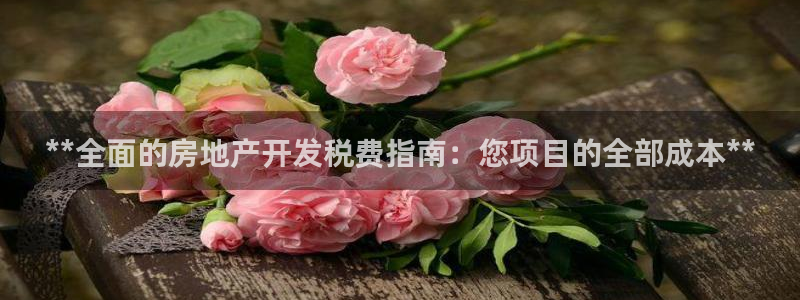 万向娱乐官网首页登录