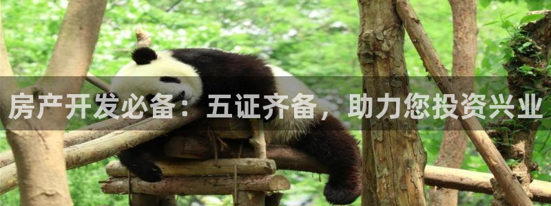 万向娱乐平台注册条件有哪些