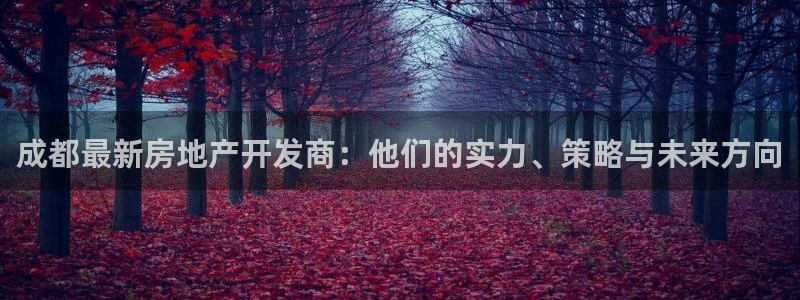 万向娱乐技术分享