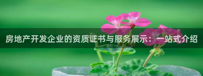 万向娱乐官网