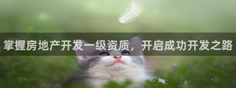 万向娱乐平台注册条件要求