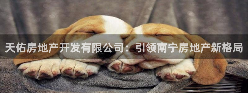 万向娱乐平台注册流程及费用