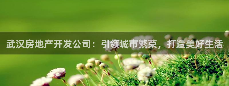 万向娱乐平台注册地址是哪里