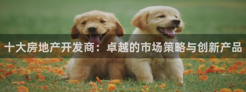 万向娱乐官网首页登录