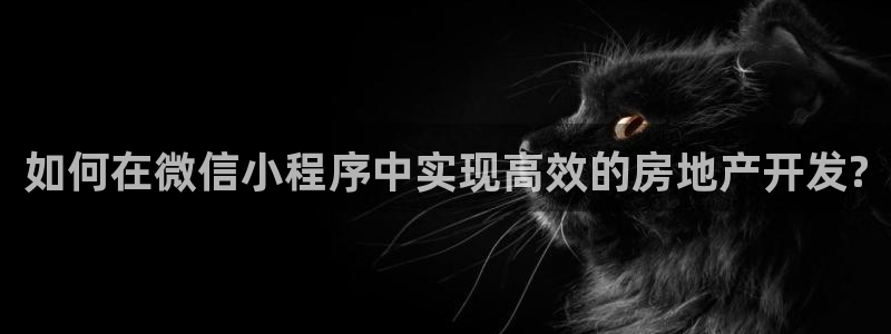 万向娱乐灯333OO