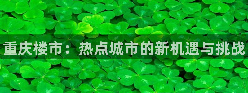 万向娱乐公司 585.34I 娱乐