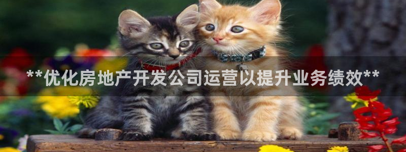 万向娱乐平台代理怎么做赚钱