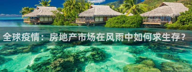 万向娱乐的494o3 主管