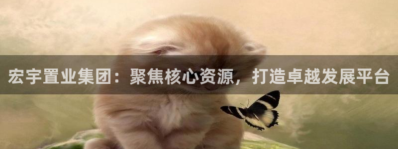 万向娱乐平台注册条件有哪些