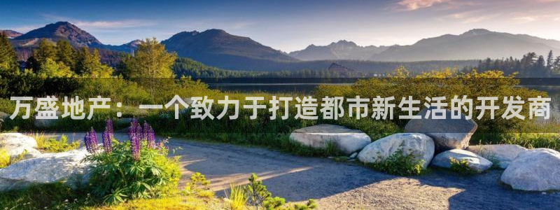 万向娱乐公司官网