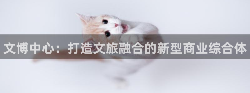 万向娱乐注册主管是谁