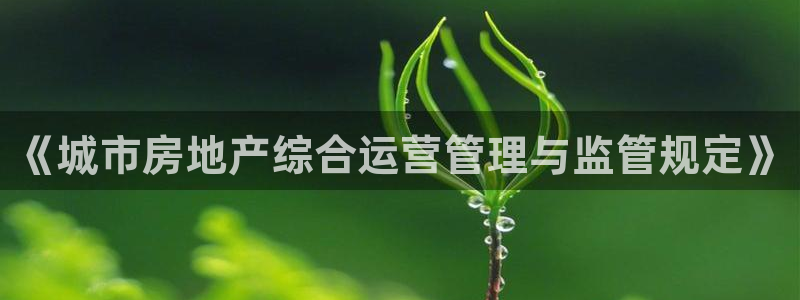 万向娱乐灯333OO