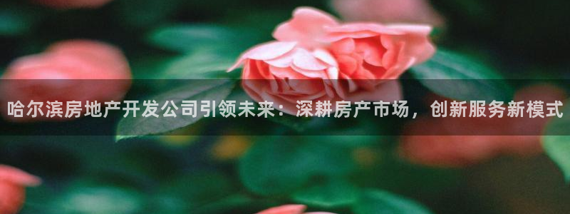 万能娱乐代理网址