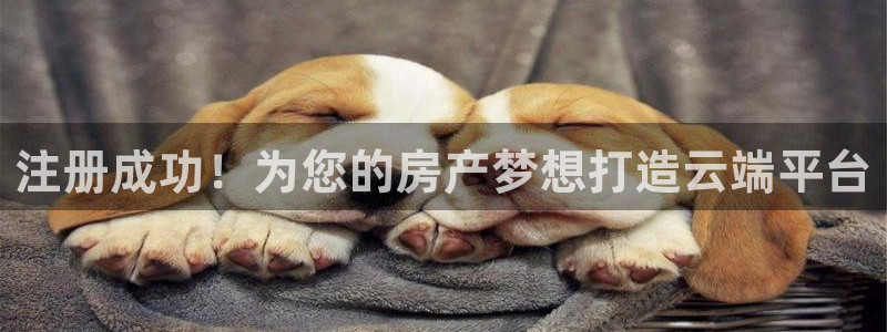 万能娱乐平台直招代理