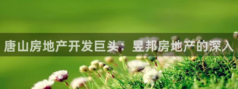 万向娱乐注册主管