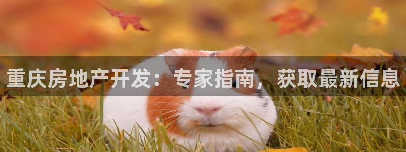 万向娱乐平台提现多久到账