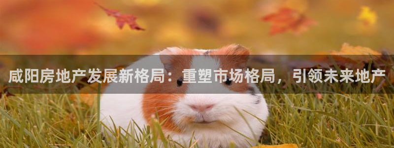 万向娱乐灯333OO