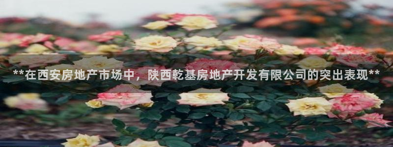 万向娱乐平台下载安装手机版