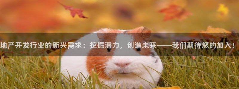 万向娱乐平台代理怎么样啊