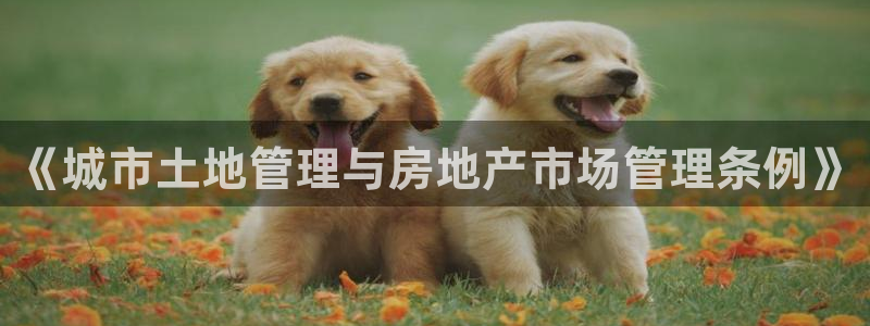 万向娱乐注册登录不上