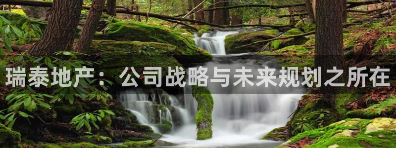 万向娱乐注册主管是谁